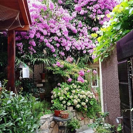 Apartman I Sobe Cule 크레스 외부 사진